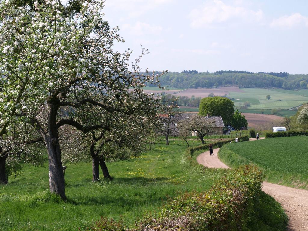 Buitenplaats De Mechelerhof Мехелен Екстериор снимка